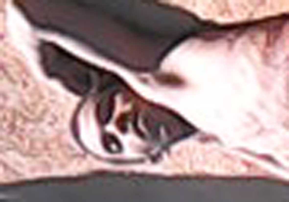 Esse é o 14° homicídio em Carpina Imagem: Site Dizendo Tudo