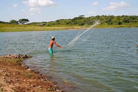 Pescadores denunciam que ossadas estão sendo jogadas na barragem