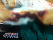 Foto: Facebook