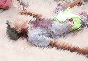 Esse é o vigésimo assassinato em Carpina este ano.