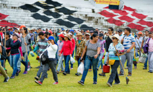 voluntario arruda